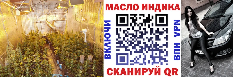 купить закладку  Александров  omg ТОР  Дистиллят ТГК вейп 