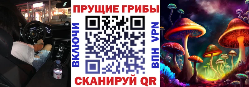 Галлюциногенные грибы Magic Shrooms  Александров 